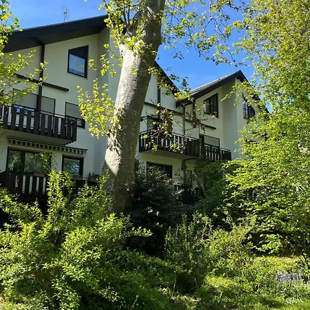 Zentrale Am Buhlschen Park In Deidesheim