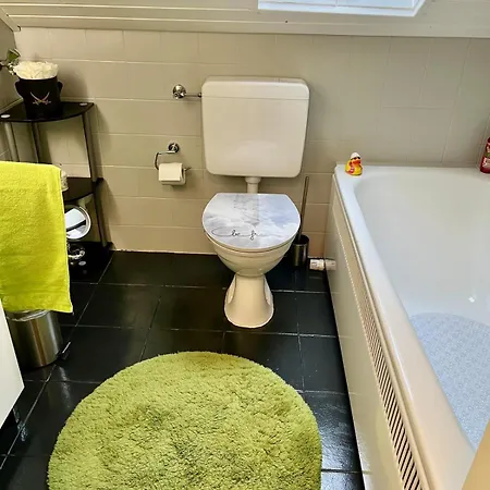 Zentrale Am Buhlschen Park In Appartement *